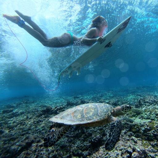 surfinglisa's profile picture. 