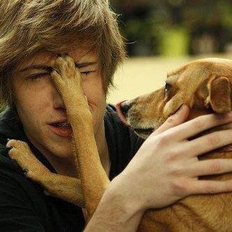 Piedro_almeida's profile picture. 