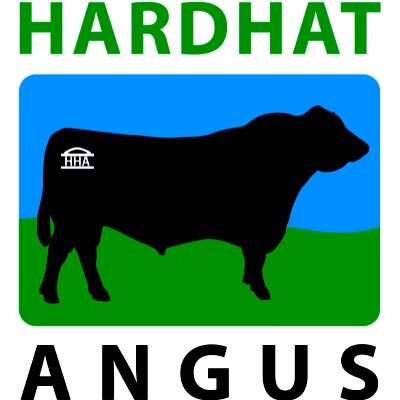Owner Manager of Hardhat Angus. Passionate about breeding the best Angus cattle backed by time tested pedigrees. Longterm female functionality NO fads