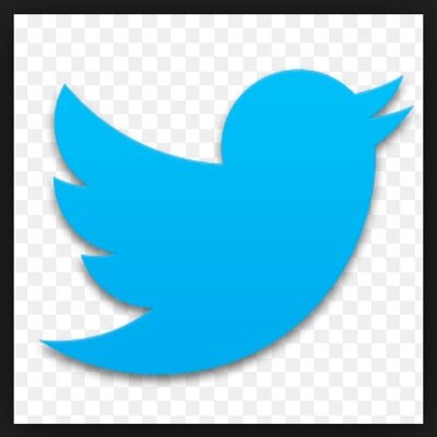 WeFollowBack135's profile picture. 