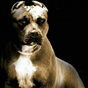 anthony agard - @anthonykennyw - Twitter