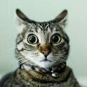 vul40's profile picture. ☠✈ AI+TA CT 🤖🎯💰