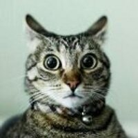 ☠ (@vul40) 's Twitter Profile