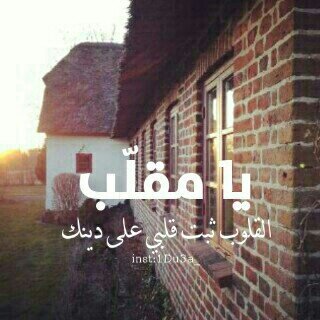 hasos1112's profile picture. 