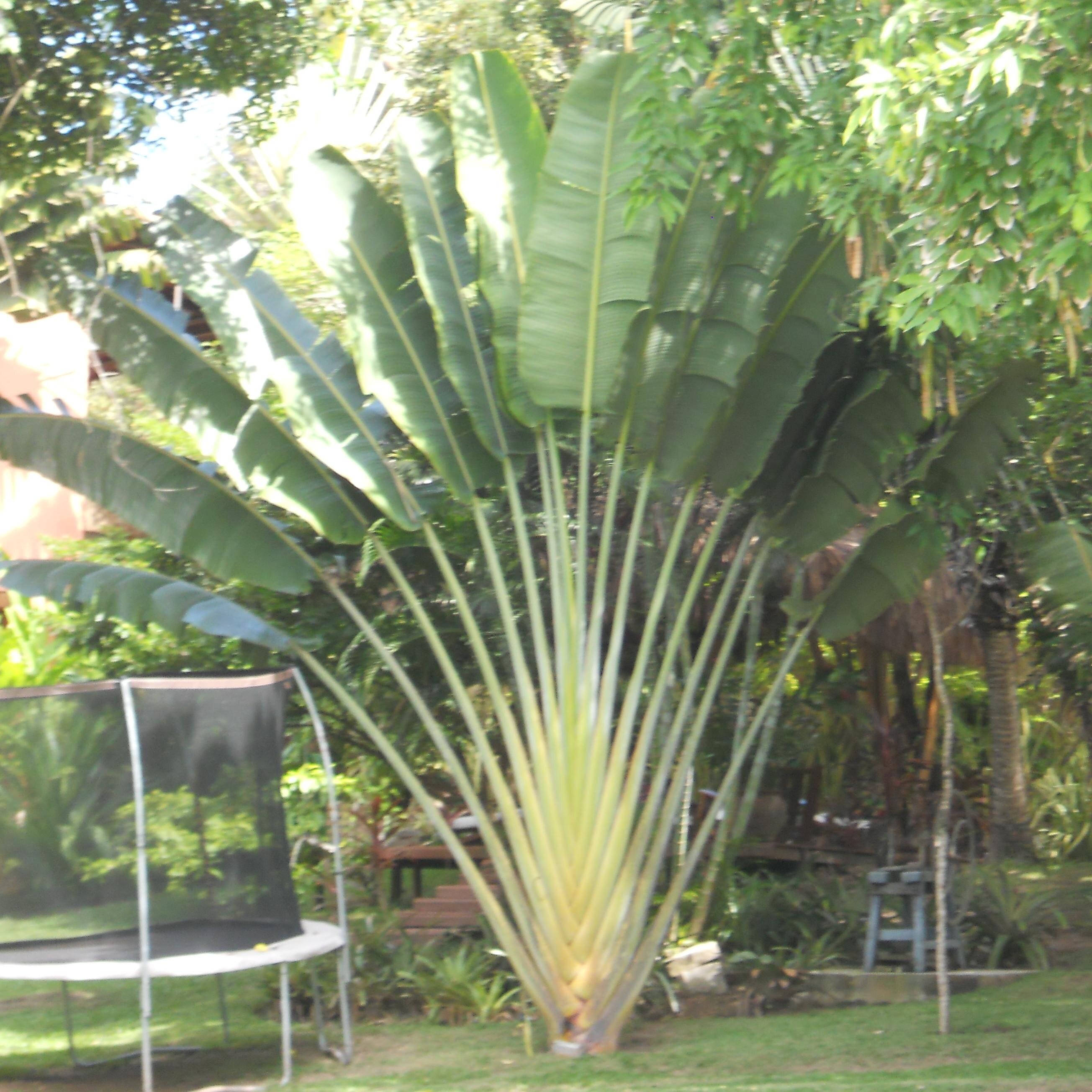 silvia13cris's profile picture. 