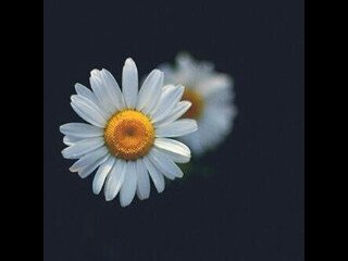 استغفر الله واتوب اليه