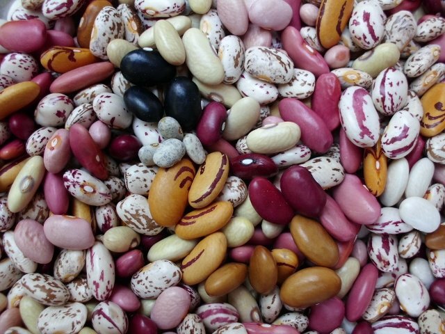 FunkyBeanCater's profile picture. A new event catering company with years of catering and hospitality background from USA to England, from simple fresh ingredients with a dash of flair!