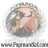 POPMUNDIAL's profile image