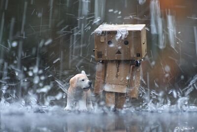 When the storm threatens to take you.. Dance in its rain.. 
Because you'll never make it back once you're washed away..