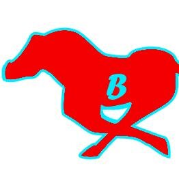The official home of the Baltimore Ponies of the United Furry Football League!