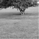 Ethan voss - @ethanv27 - Twitter