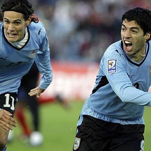 lourdesinmobili's profile picture. diseño grafico