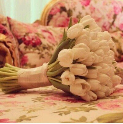 ‏‏‏‏‏‏‏‏إبتسِمُو وتناسُو أوجاعكُم فَِهيّ دُنيا لاجنةعسى الغدأنْ
 (يكون أجمل)
•°   *لاإله إلاأنت سُبحانک إني کُنْتُ مِنْ الظالمين*°• ‏