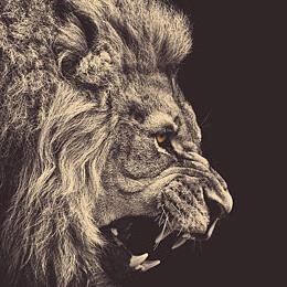 musicgotmetoo's profile picture. Everyone understands music, some understand it better than others. tweet #musicgotme and share your thoughts.