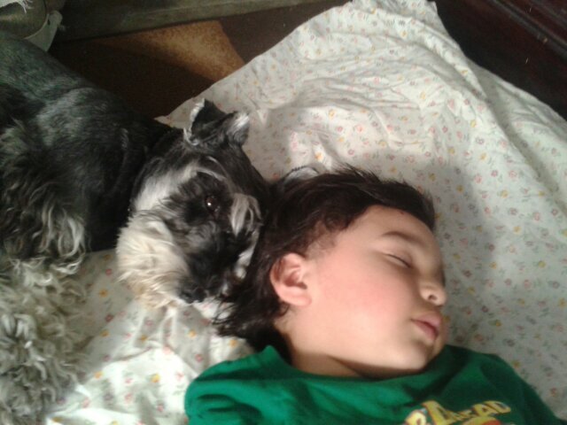 adasanchezg's profile picture. Lic. Administracion, casada y enamorada de mi familia