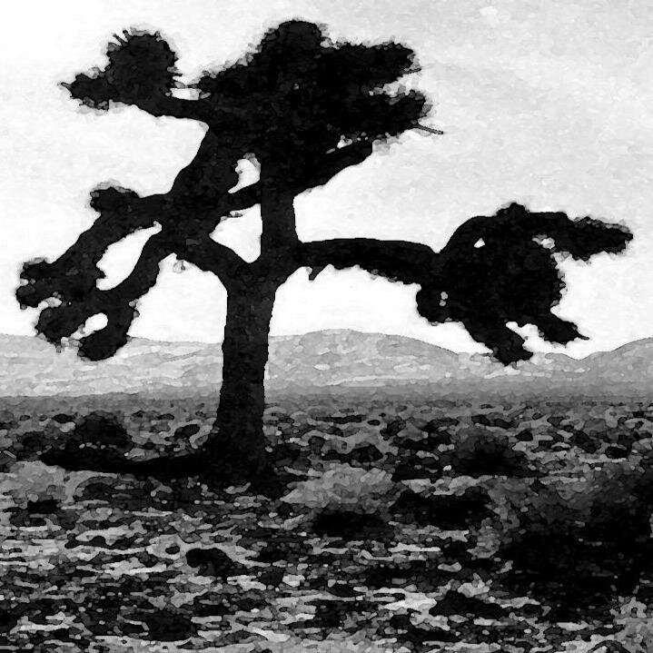 MartinDorr's profile picture. Culture, Alienation, Boredom & Despair