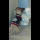 Rhonda Pickle - @PickleRhonda - Twitter