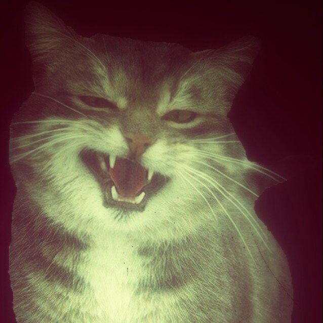 Cait Sith