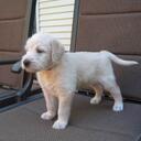 Edward Burdick - @EnzoTheDood - Twitter