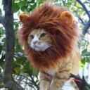 littlelioncat's profile picture. My own grandpa doesn't remember my name for 2 Easters in a row 3rd child