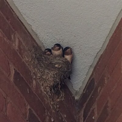 taylorray20001's profile picture. 