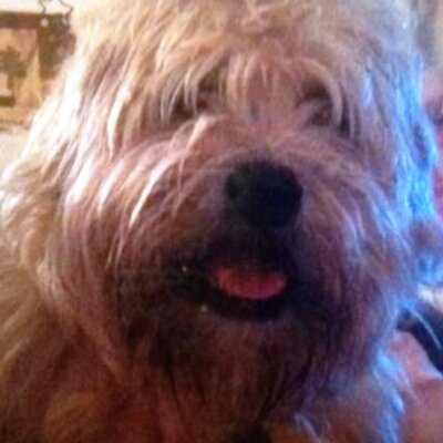 henrylooey's profile picture. 