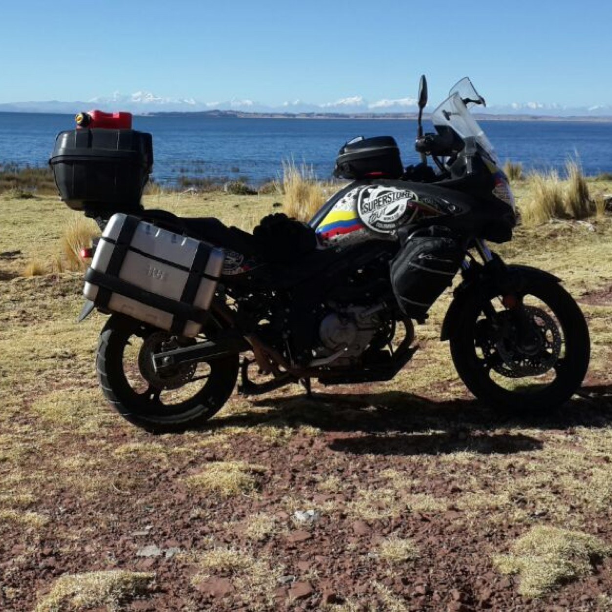 SuzukiCali's profile picture. 