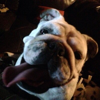 aforrest8854's profile picture. 