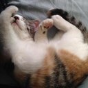 kiya johnson - @kiyajohnson7 - Twitter