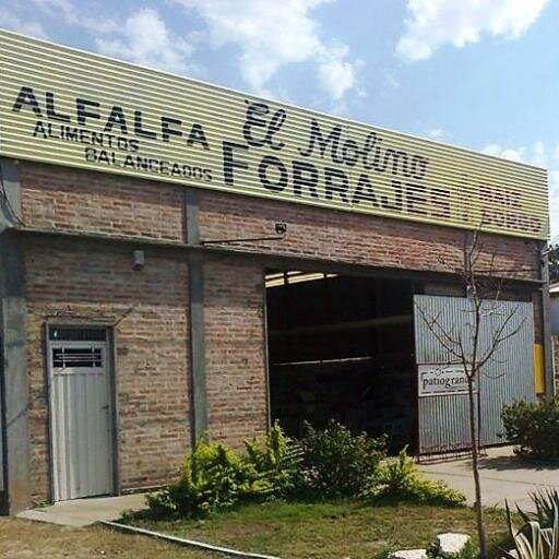 ElMolinoForraje's profile picture. Ingeniero Bruno Colucci. Venta y distribución de forrajes y alimentos balanceados de 1era calidad. Asesoramiento a product. que inician activ. avícola y porcina