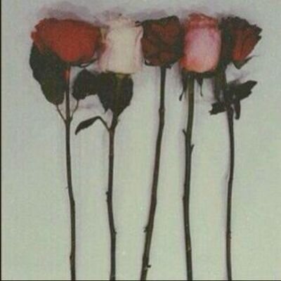 ‏‏سيﻻ.                                                                         الحمدلله