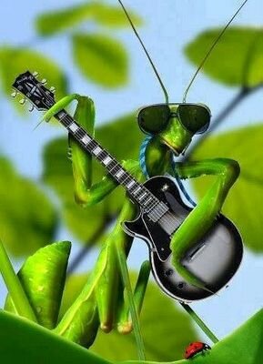 La vida no es eterna para nadie,
es un regalo🎁... Una aventura...
Una celebración🎶.. Un hermoso viaje.💞🌻