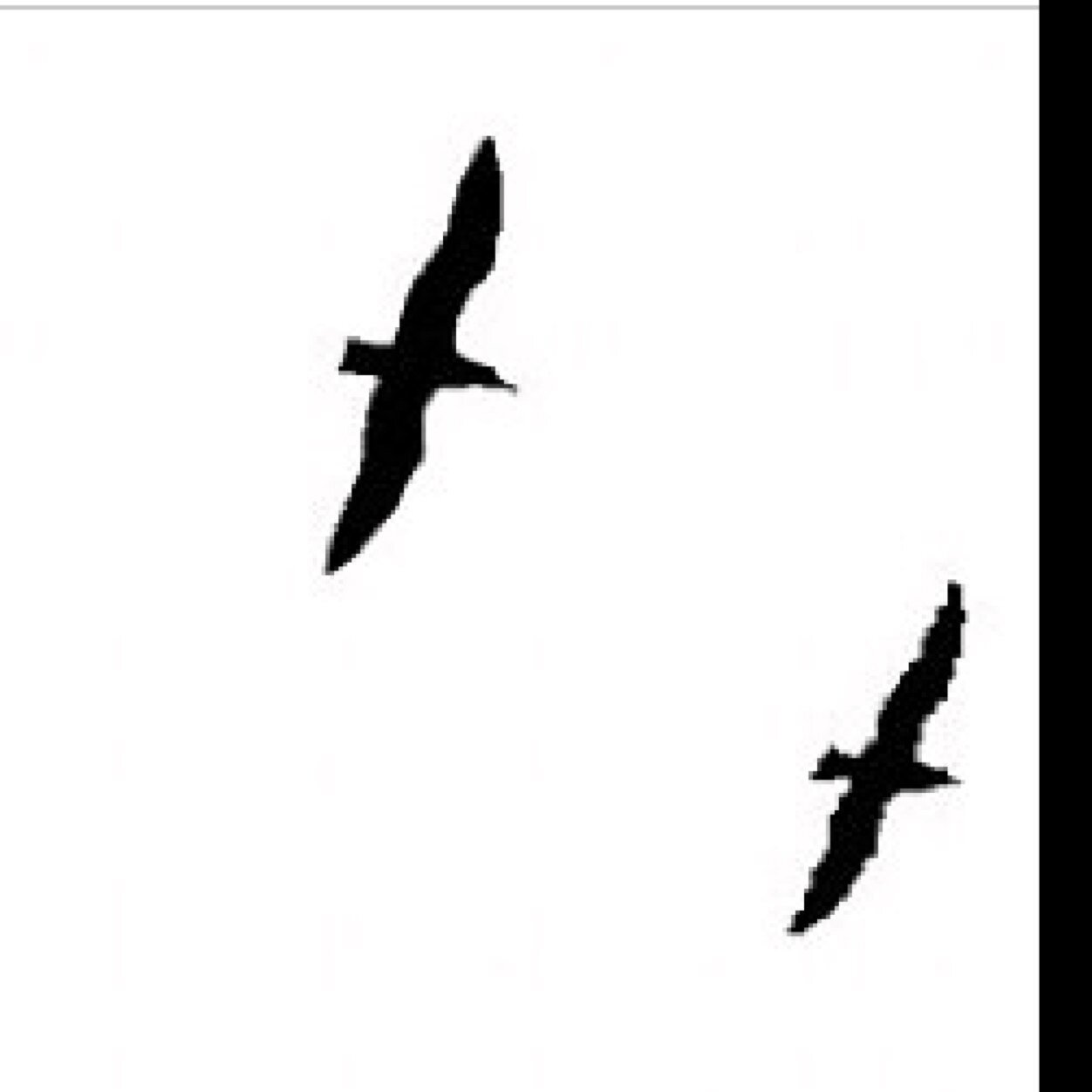 me20275242's profile picture. 