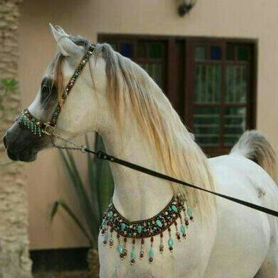 ‏‏بِرّ الوَالدَينّ دِينٌ و دَينْ ، فَالأولّ ياخُذكَ
 إلَى الجَنّة ، وَالثاني يرُدهَ لكَ أبنَائك..الخاص ممنوع