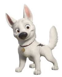 Anjing Bolt Sianjingbolt Twitter