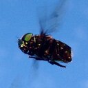 Peter LaRocque - @peter00128352 - Twitter