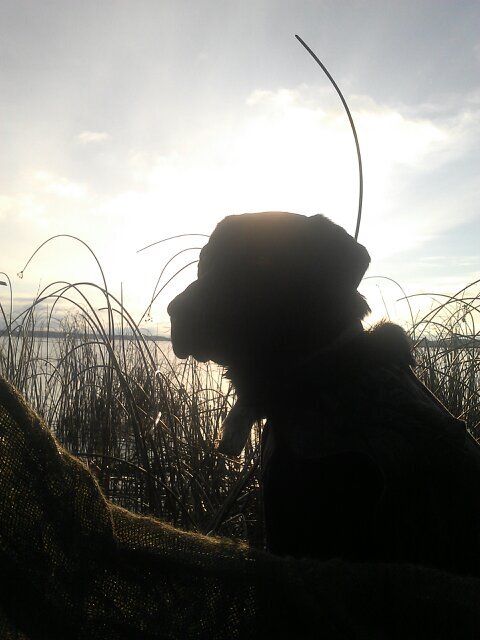 buschpounder's profile picture. If you like fishin, huntin, bonfires, country music, or beer.. we will get along just fine!