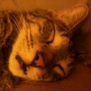 Paula Proctor - @paula_proctor - Twitter