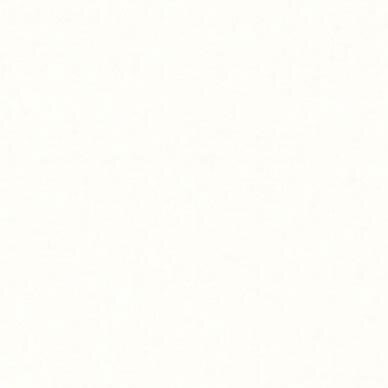 1986TBAY's profile picture. 