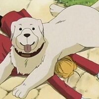 Alexander (@chimeradog) 's Twitter Profile