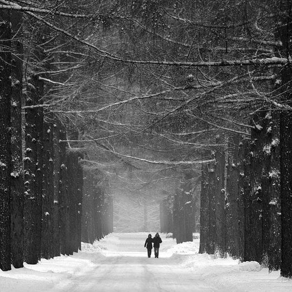 WinterSkin618's profile picture. Alternative/Indie/Pop-Punk music in the making.