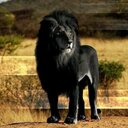 Berta Lopez - @bertiluchis - Twitter