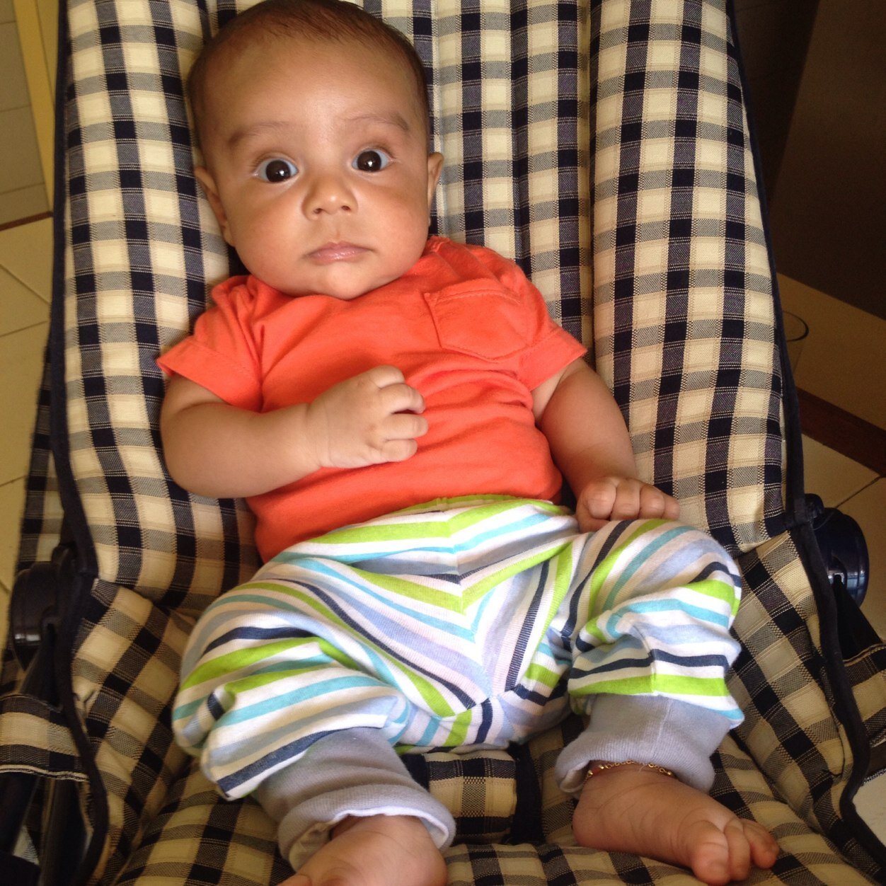 sca_cofrades's profile picture. 