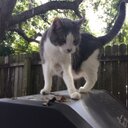 Heather Post - @PostHeather - Twitter