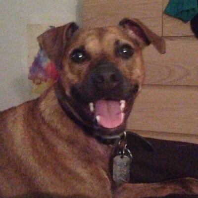 bravolebretey2's profile picture. Marketing Associate with Invest Financial. #Animal lover. #Winning