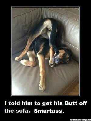 pearlrx8's profile picture. 