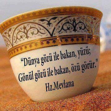 sadettin saranin yigeni