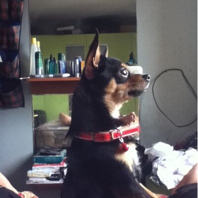 Jericob80's profile picture. 