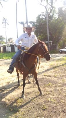 danellagustin's profile picture. 