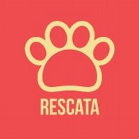 Rescata México (@rescatamx) 's Twitter Profile